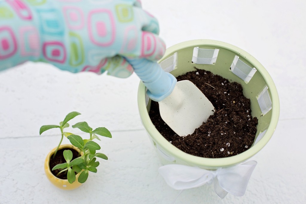 Saiba como fazer um super adubo caseiro de arroz que serve para todas as plantas.