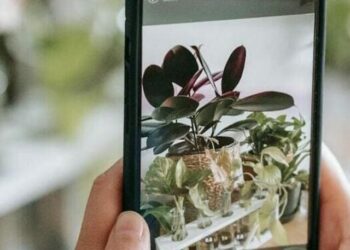 plantas para apartamento