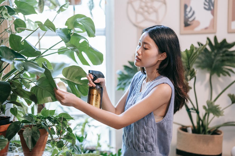 Vai Viajar? Saiba Como Cuidar de Suas Plantas Mesmo Estando Longe.