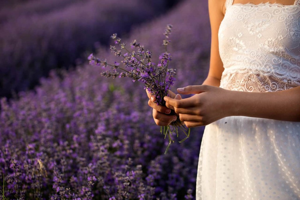 Qual flor combina com o seu signo? Descubra a planta que traduz sua essência!