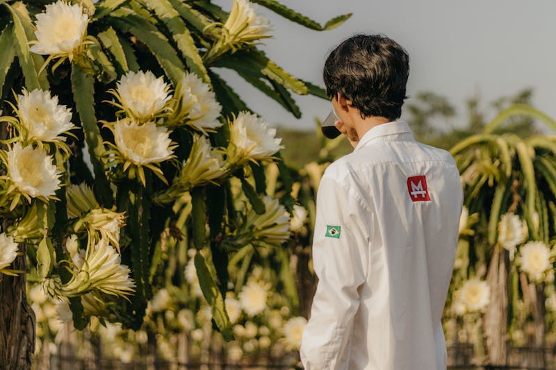 Cultivo da Pitaya: do plantio à frutificação perfeita