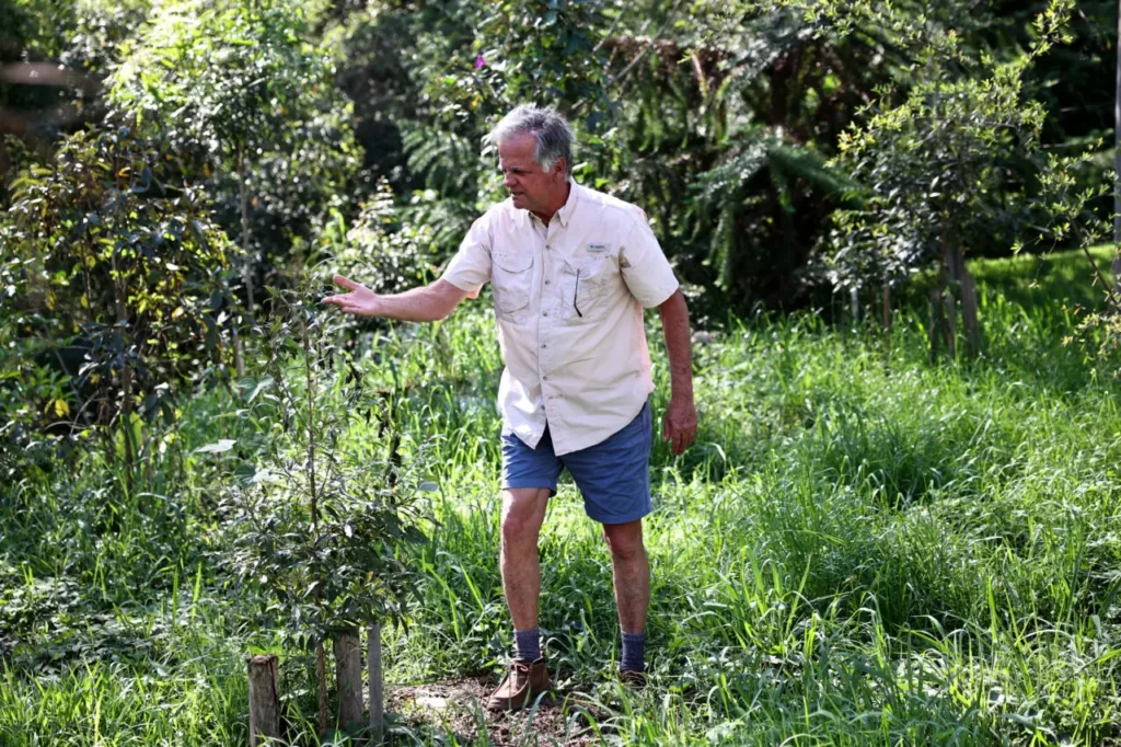 Engenheiro Verde: O Morador de Curitiba que Já Plantou Mais de 2.500 Árvores pela Cidade