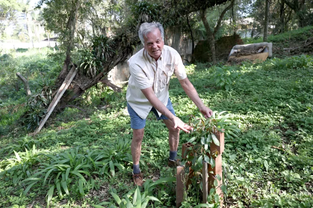 Engenheiro Verde: O Morador de Curitiba que Já Plantou Mais de 2.500 Árvores pela Cidade