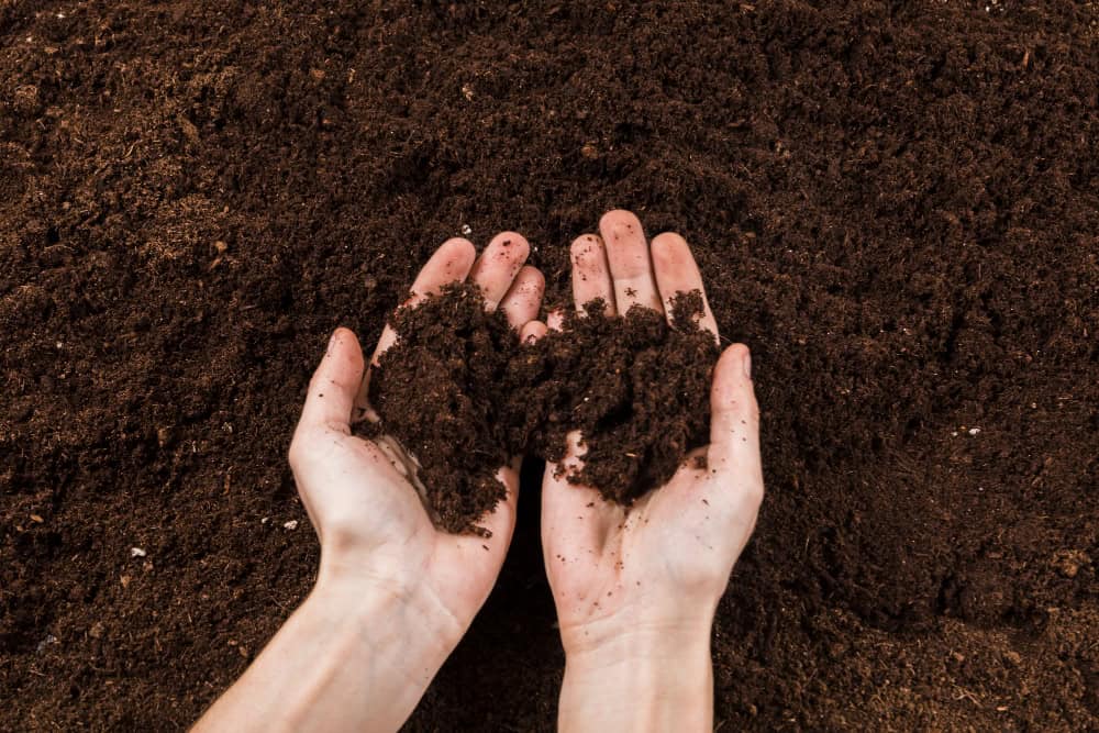 O papel dos fertilizantes na recuperação do solo agrícola pós-enchente