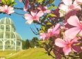 Curitiba se destaca entre os destinos floridos na primavera