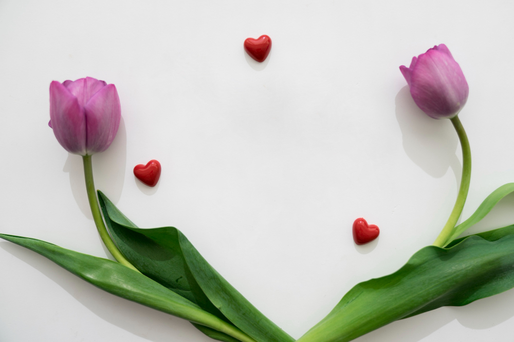 6 Flores para Decoração de Casamentos.