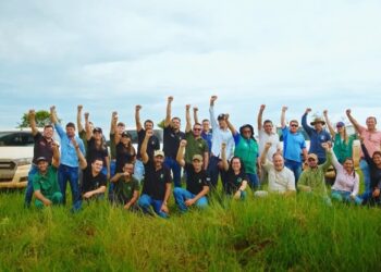 Vale do Araguaia recebe 234 mil novas mudas em projeto de reflorestamento com apoio de produtores e aldeias indígenas