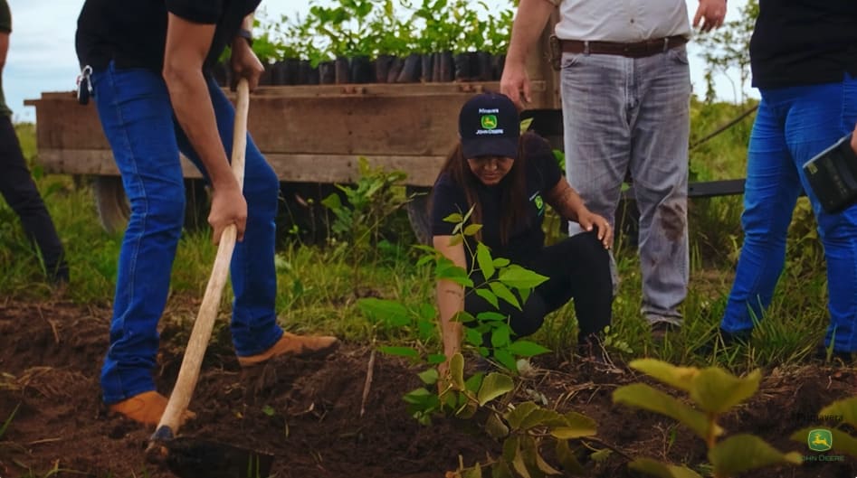 Vale do Araguaia recebe 234 mil novas mudas em projeto de reflorestamento com apoio de produtores e aldeias indígenas