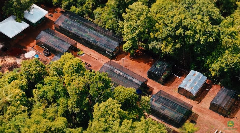 Vale do Araguaia recebe 234 mil novas mudas em projeto de reflorestamento com apoio de produtores e aldeias indígenas