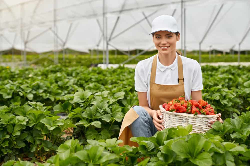 Horta Comunitária: Uma Solução Agroecológica que Transforma as Cidades
