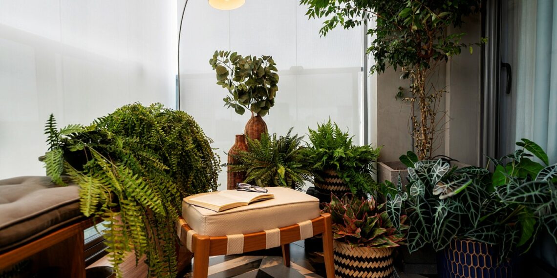 Dicas para decorar o apartamento com plantas