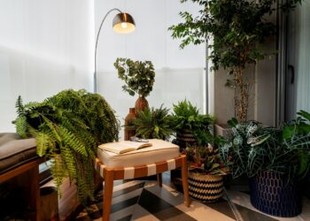 Dicas para decorar o apartamento com plantas