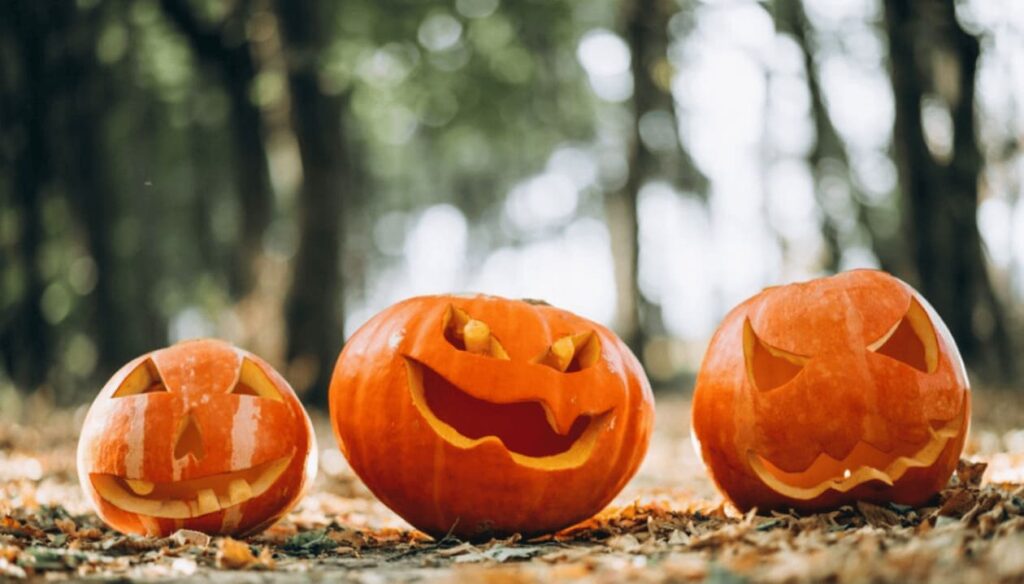 Decoração de Halloween com Abóboras: Quatro Ideias Criativas para um Toque Especial