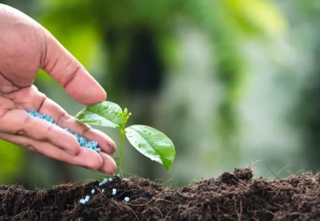 Agricultura Sustentável: Filme Biodegradável Libera Fertilizante de Forma Controlada e Se Degrada em Três Meses