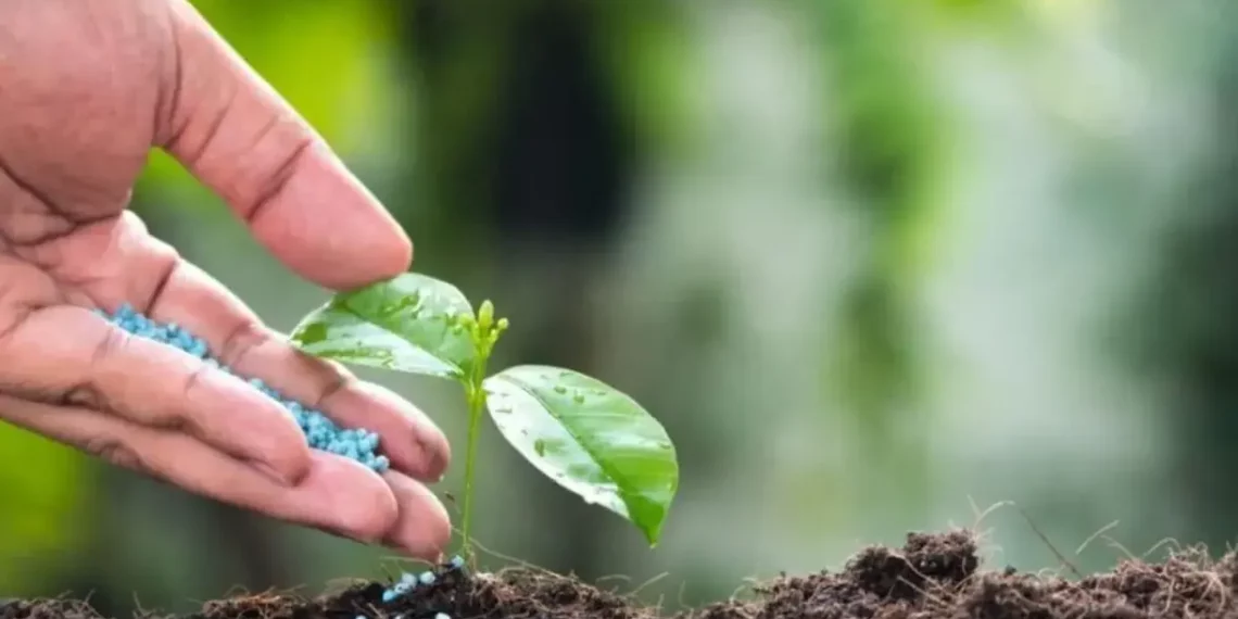 Agricultura Sustentável: Filme Biodegradável Libera Fertilizante de Forma Controlada e Se Degrada em Três Meses
