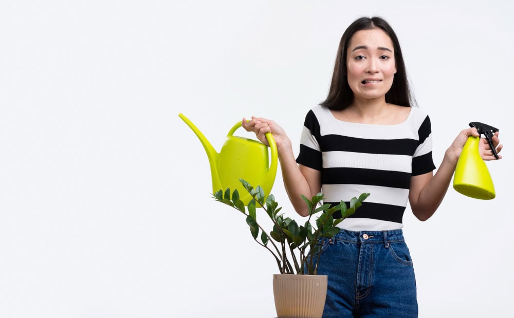 Adubo com casca de ovo: o segredo natural para plantas mais saudáveis