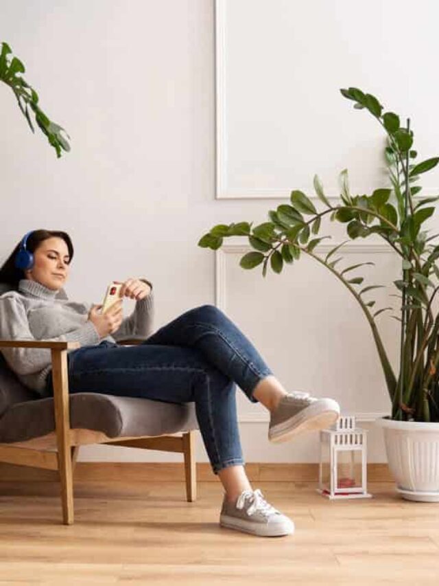 plantas de luz indireta