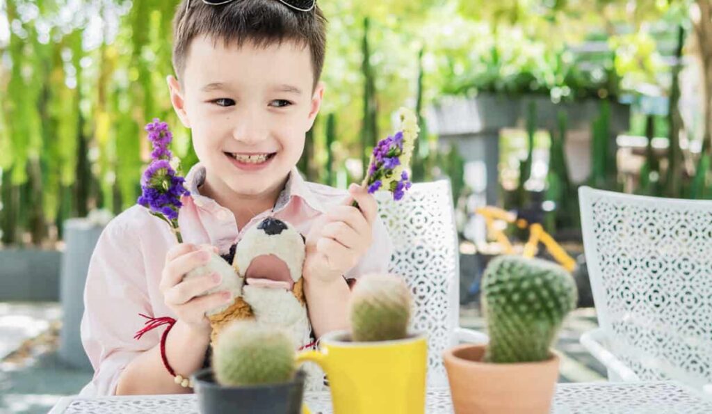 Dia das crianças: 5 plantas que podem ser cultivadas em casa junto com os pequenos.