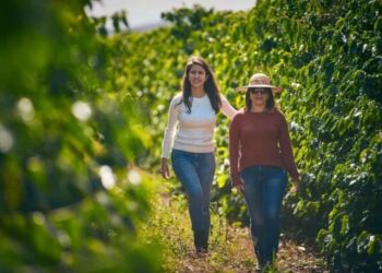 Liderança feminina impulsiona inovação no campo e transforma o Dia Internacional da Mulher Rural