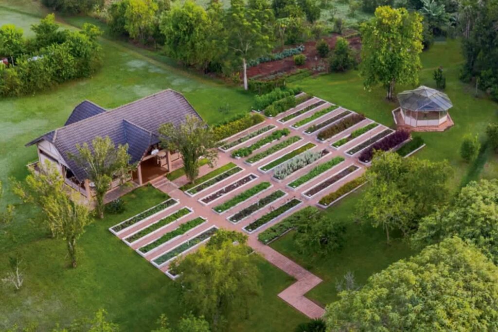 Experiência Sensorial com Mais de 70 Ervas: O Empório do Chá no Resort Jurema