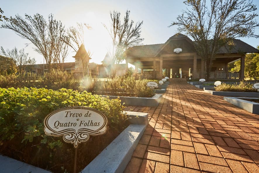 Experiência Sensorial com Mais de 70 Ervas: O Empório do Chá no Resort Jurema