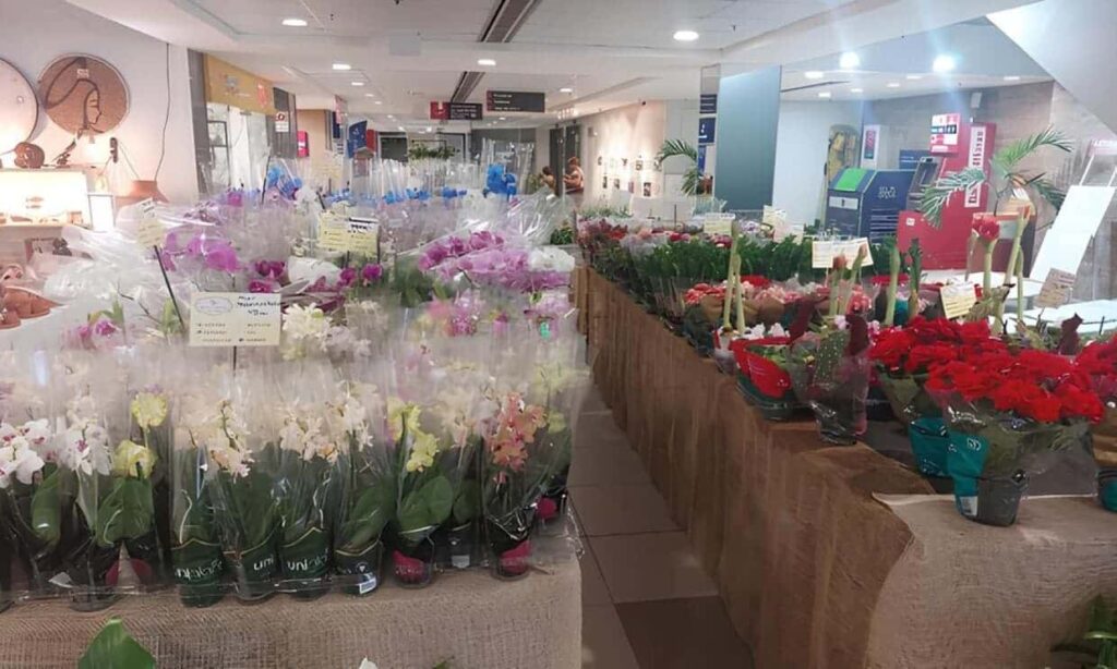 Feira de Flores de Holambra encanta visitantes até 12 de outubro