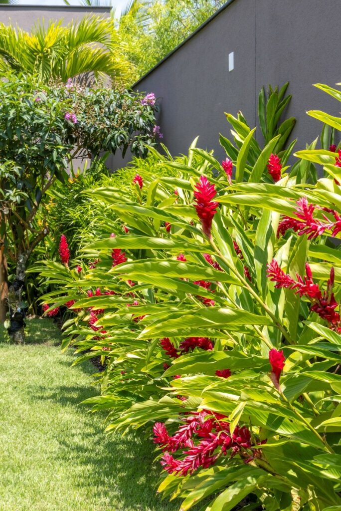 Primavera no jardim: dicas de paisagistas para transformar as áreas externas residenciais