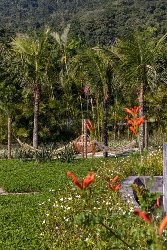 Primavera no jardim: dicas de paisagistas para transformar as áreas externas residenciais