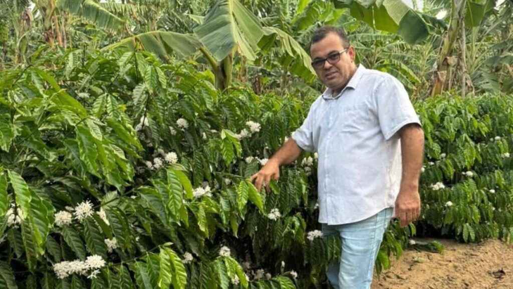 Fertilizante Orgânico Revoluciona o Combate ao Nematoide e Fusário nas Lavouras