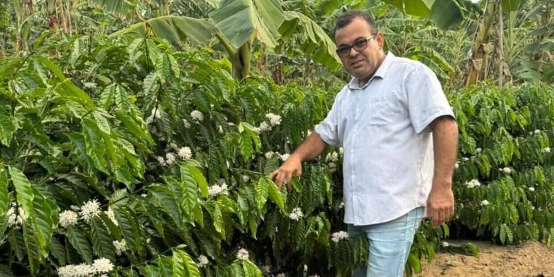 Fertilizante Orgânico Revoluciona o Combate ao Nematoide e Fusário nas Lavouras