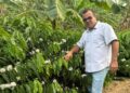 Fertilizante Orgânico Revoluciona o Combate ao Nematoide e Fusário nas Lavouras
