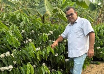 Fertilizante Orgânico Revoluciona o Combate ao Nematoide e Fusário nas Lavouras