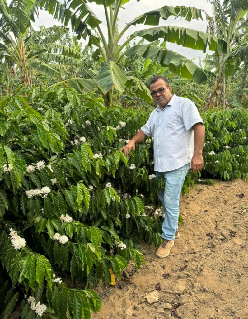 Fertilizante Orgânico Revoluciona o Combate ao Nematoide e Fusário nas Lavouras