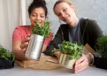 O poder do sal no jardim: o fertilizante natural que você já tem em casa