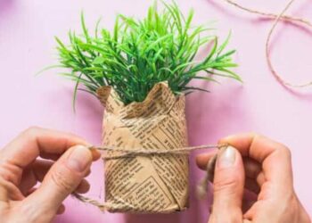 plantas presente natal