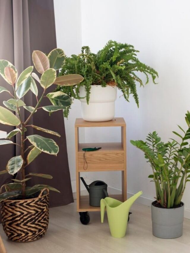 plantas hall de entrada