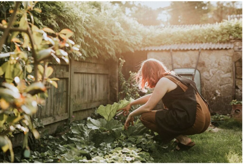 Alta nos insumos? Conflito no Oriente Médio acende sinal vermelho para produtores rurais