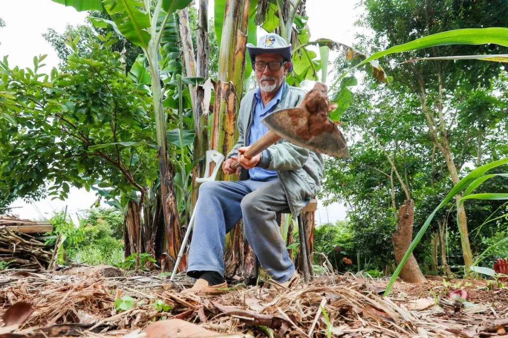Do abandono ao verde: idoso transforma terreno em horta modelo em Curitiba