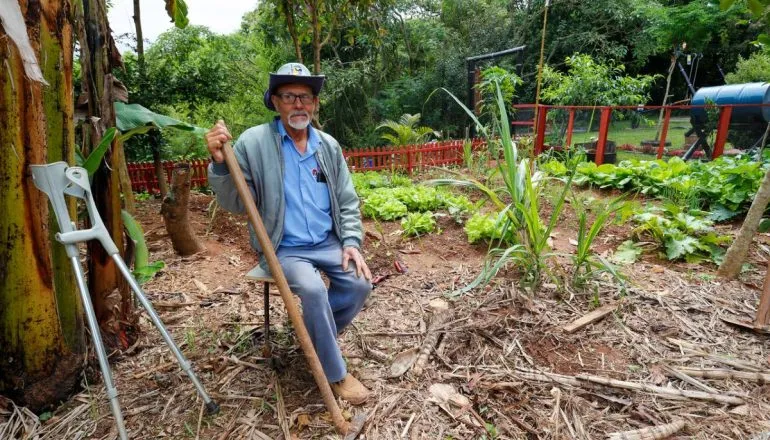 Do abandono ao verde: idoso transforma terreno em horta modelo em Curitiba