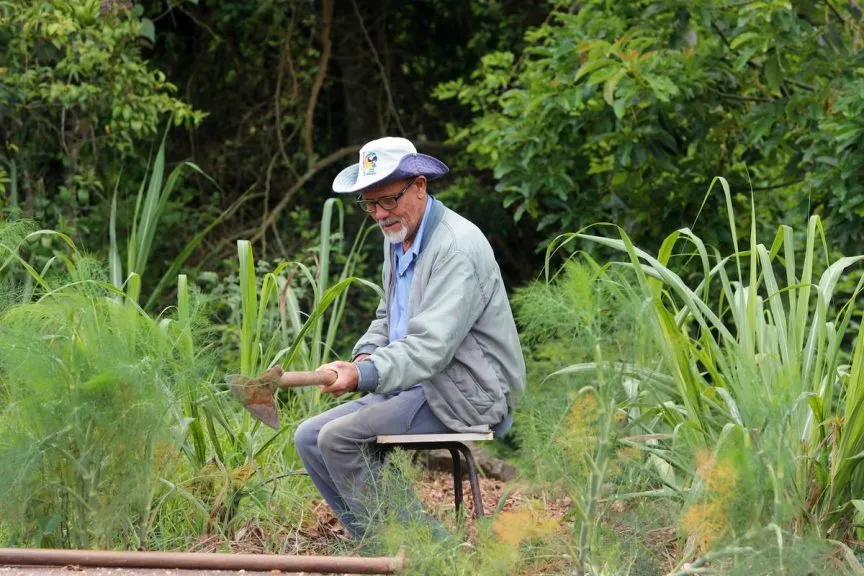 Do abandono ao verde: idoso transforma terreno em horta modelo em Curitiba