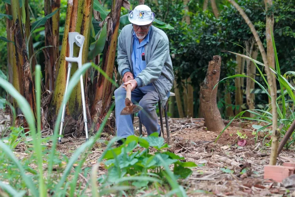 Do abandono ao verde: idoso transforma terreno em horta modelo em Curitiba