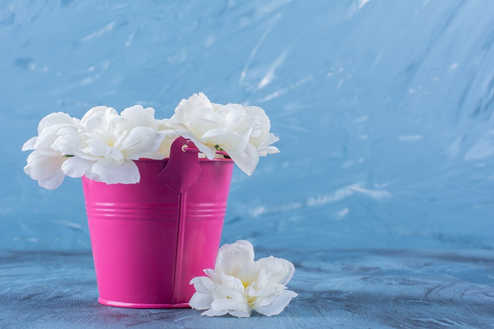 Jasmim: a planta mais perfumada para renovar o ar e o ambiente da sua casa