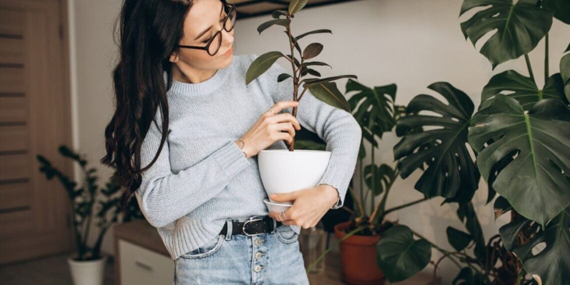 plantas casa