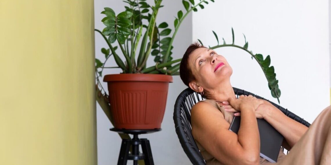 Plantas Terapêuticas que Podem Transformar Sua Casa em um Refúgio de Paz e Bem-Estar