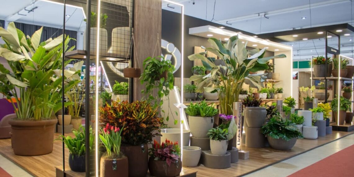 Em parceria com Murilo Soares, Japi lança linha de vasos inspirados em memórias afetivas