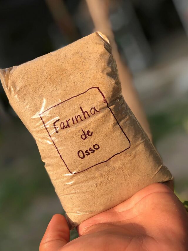 cropped-farinha-osso-2.jpg