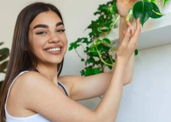 Plantas que atraem dinheiro