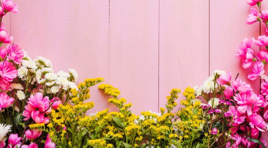 flores rosas