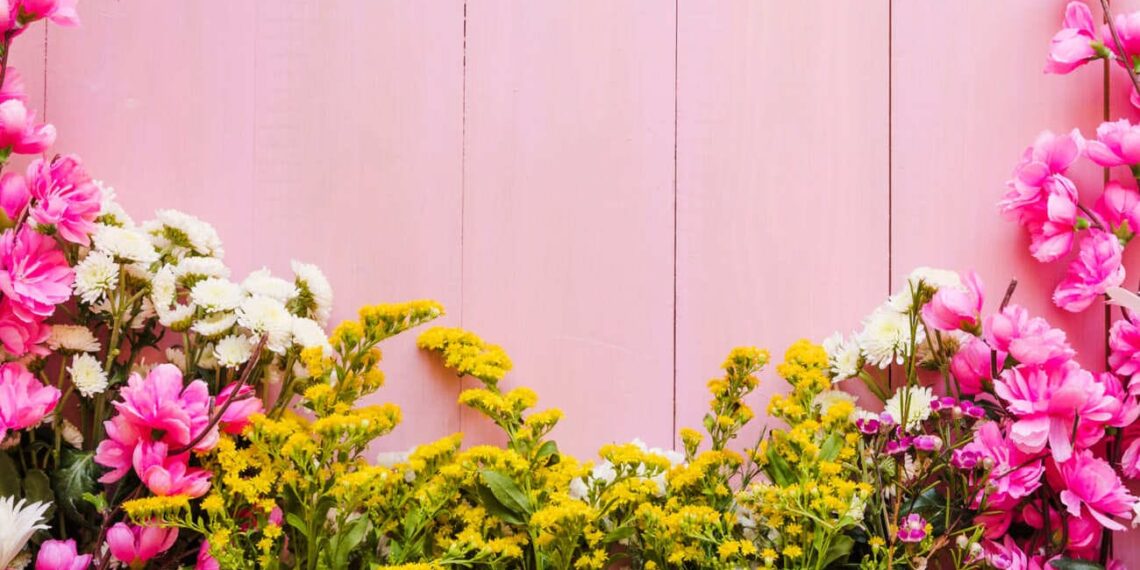 flores rosas