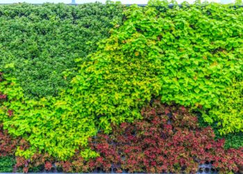 planta jardim vertical
